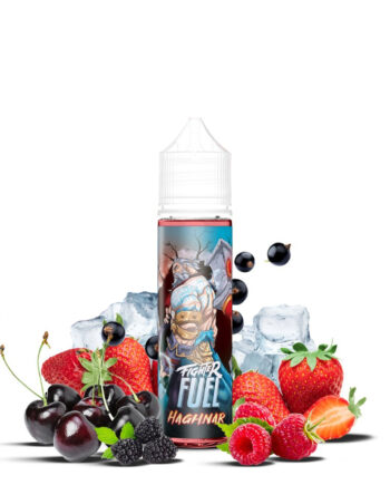 Maison Fuel Fighter Haghnar