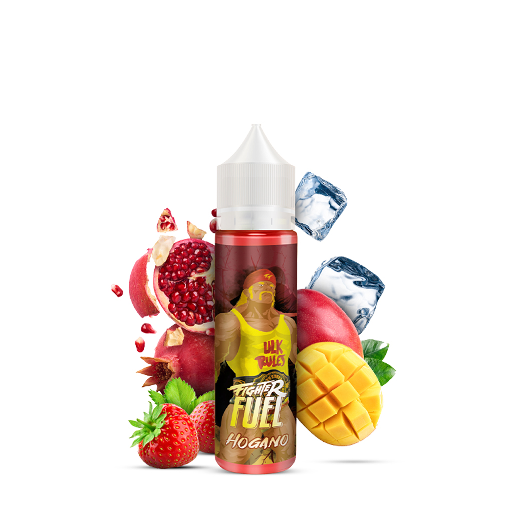 Maison Fuel Fighter Hogano