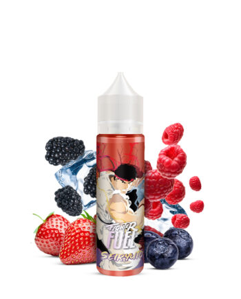 Maison Fuel Fighter Seiryuto